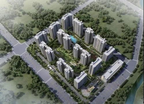 海口电白雅居爆料了吗最新消息,揭秘项目进展与市场动态