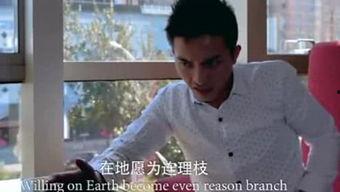 恰看电影网在线观看,在线观影新体验，畅享电影盛宴