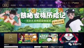 熊猫家族成员爆料视频,独家爆料视频大公开