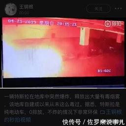 网友爆料特斯拉视频下载,网友爆料揭示神秘内幕