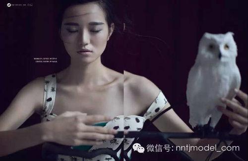 一彤798大哥爆料视频,独家内幕大公开